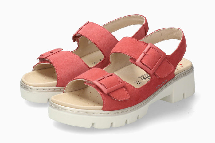Amira - Old Pink | M7CN