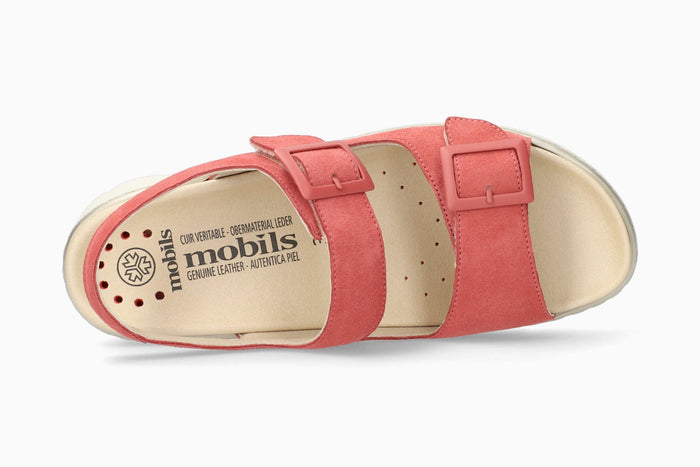 Amira - Old Pink | M7CN