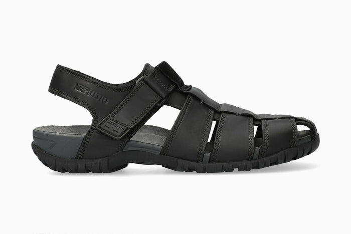 Basile - Black | MSD2