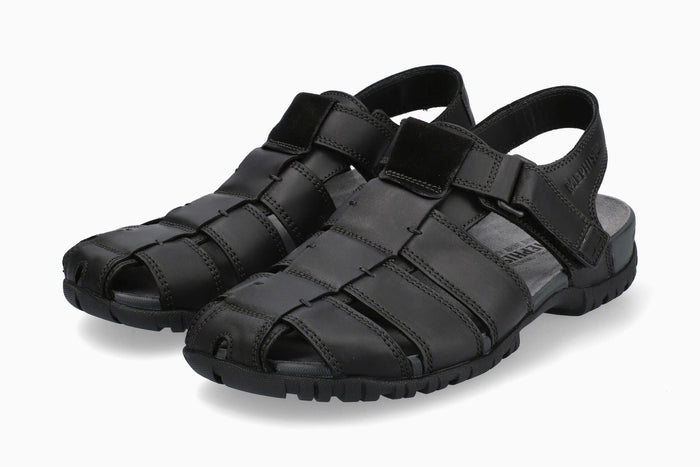 Basile - Black | MSD2