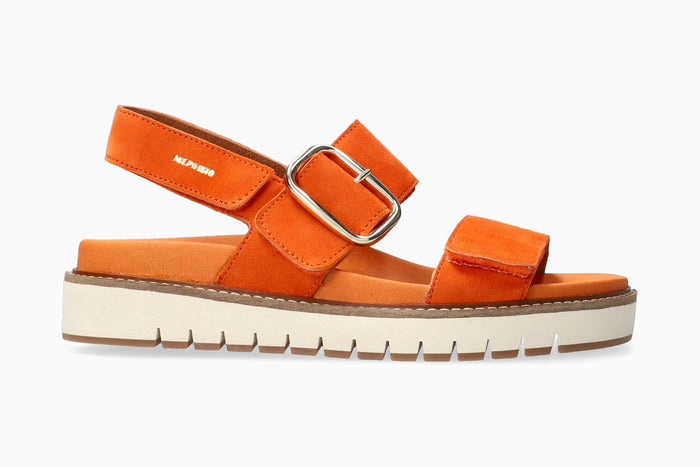 Belona - Burnt Orange | M6LO