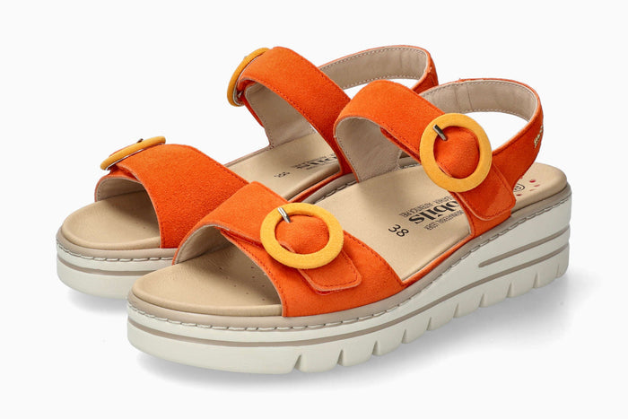 Clara - Burnt Orange | M6LO