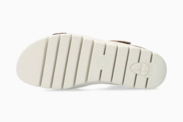 Clara - Light Taupe | M4WH