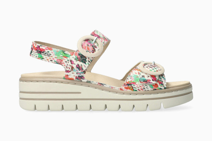 Clara - Multicolored | M7BN