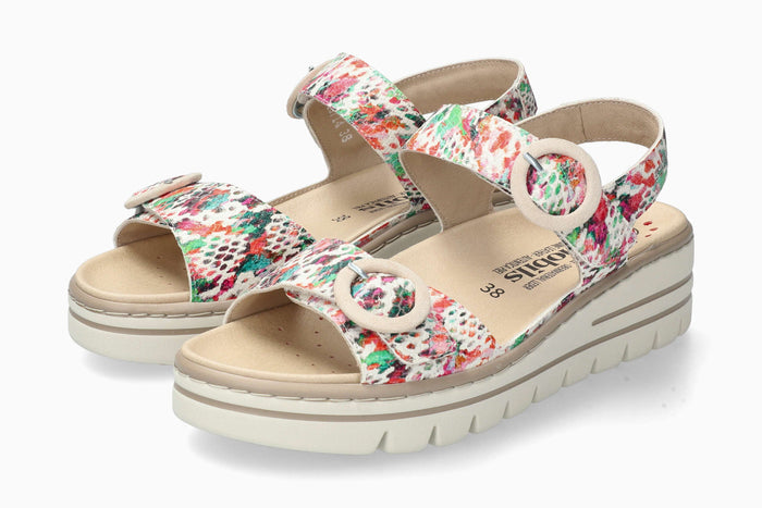 Clara - Multicolored | M7BN