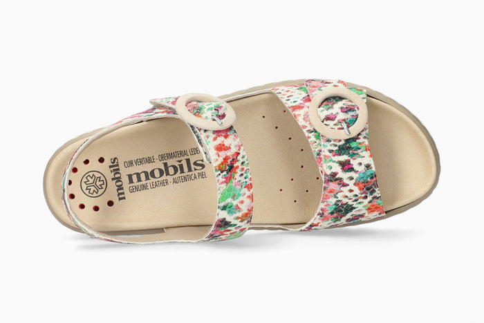 Clara - Multicolored | M7BN