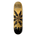 Glass House Rats Gold/Black 8.5" Skateboard Deck