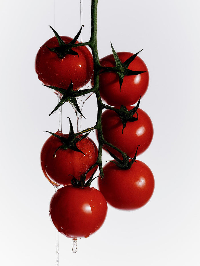 Vibrant red tomatoes hang on a vine.