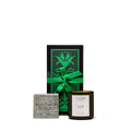 Morning Best Sellers Set