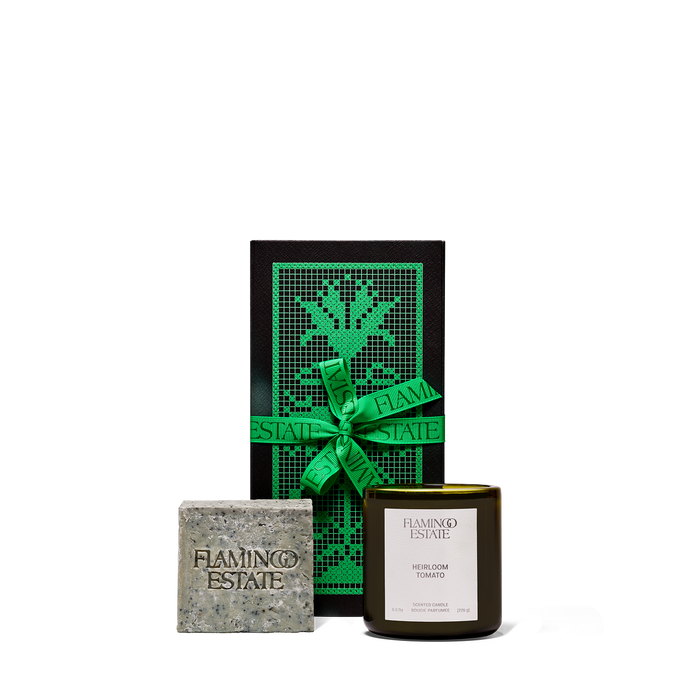 Morning Best Sellers Set