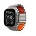 Natural Titanium / Orange