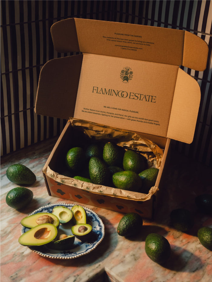 A cardboard box labeled "FLAMINGO ESTATE" holds several whole avocados.