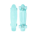 Penny Staple Mint 22" Cruiser Complete Skateboard