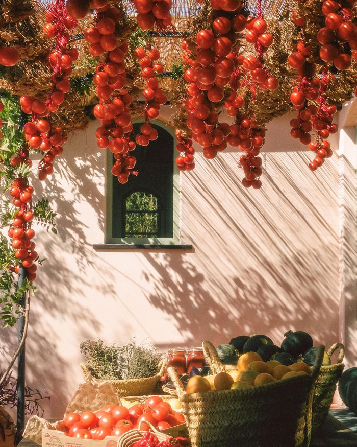 Hanging tomatoes, highlighting the garden inspiration of the tomato candle.