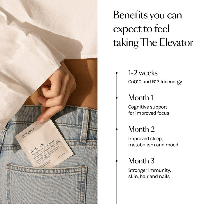 SISTERLY The Elevator