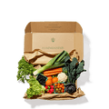 A cardboard box contains fresh vegetables.