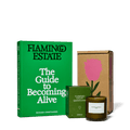 The Book Worm Set