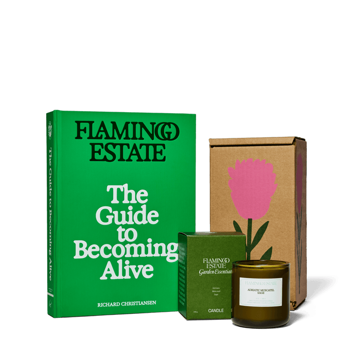 The Book Worm Set